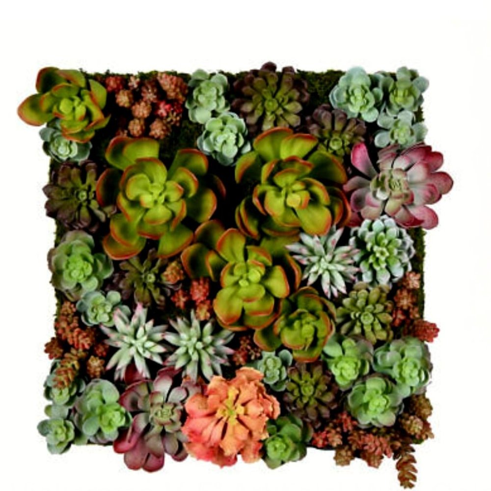 Vickerman Artificial Succulent Wall Hanging 16.5"